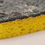 How to REALLY disinfect a sponge
