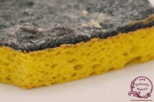that thing is nasty: how to *really* disinfect a sponge